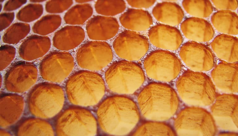 Honeycomb looks bright orange and deep red in light