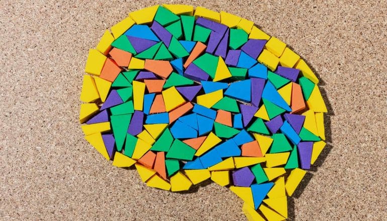 Small colorful tiles are arranged in the shape of a brain