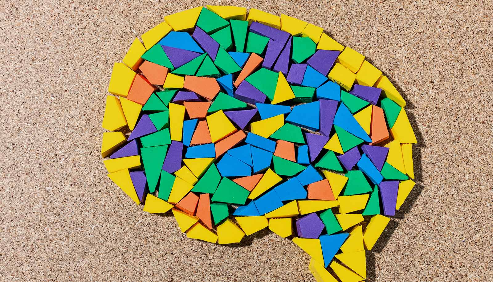 part of brain responsible for learning