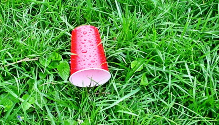 A red plastic cup sits on bright green grass, covered in rain water