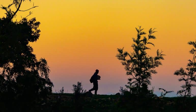 sunset silhouette of person walking with plants in foreground