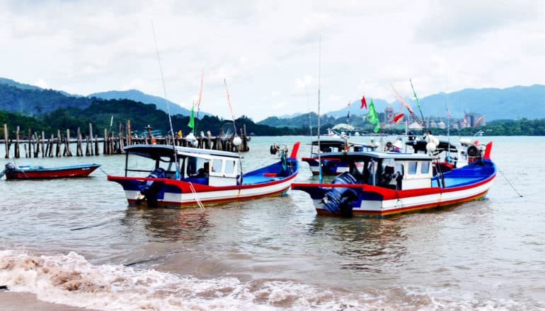 Fishing boats leave from the shore of an island, with mountains and a dock in the background