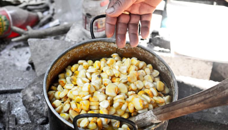 kernels of maize in pot