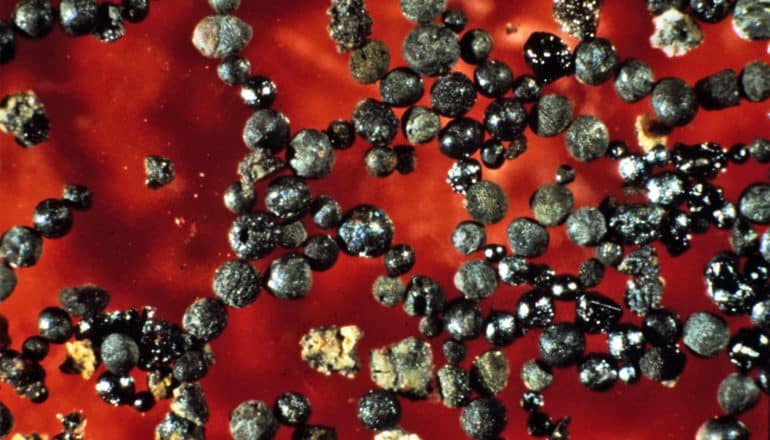 Micrometeorites look like small rocks, some of which are black and shiny, sitting on a red background