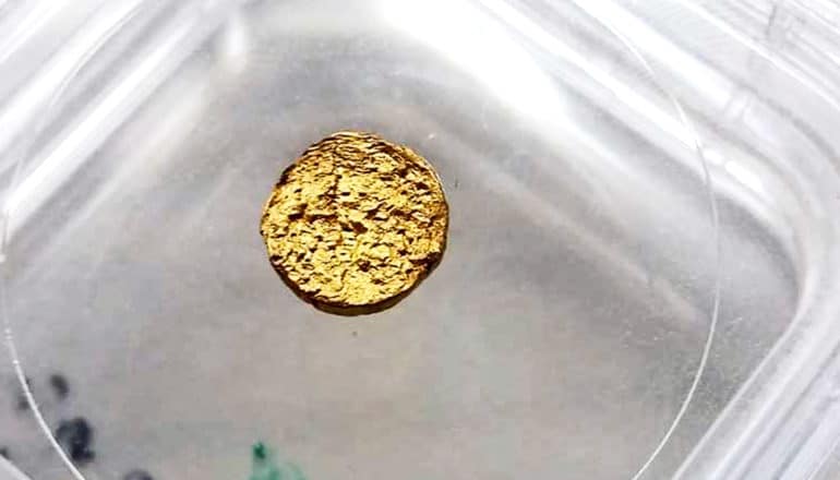 The plastic gold nugget sits in a plastic dish