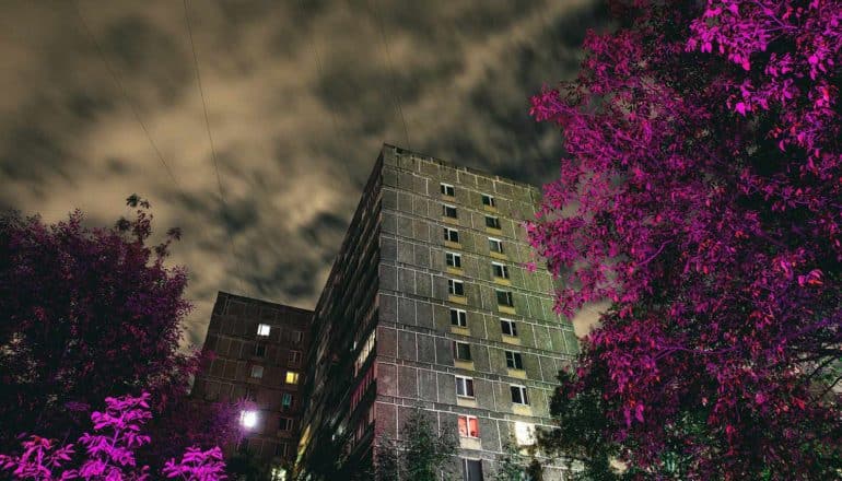 trees in pink light in front of buildings and ominous sky
