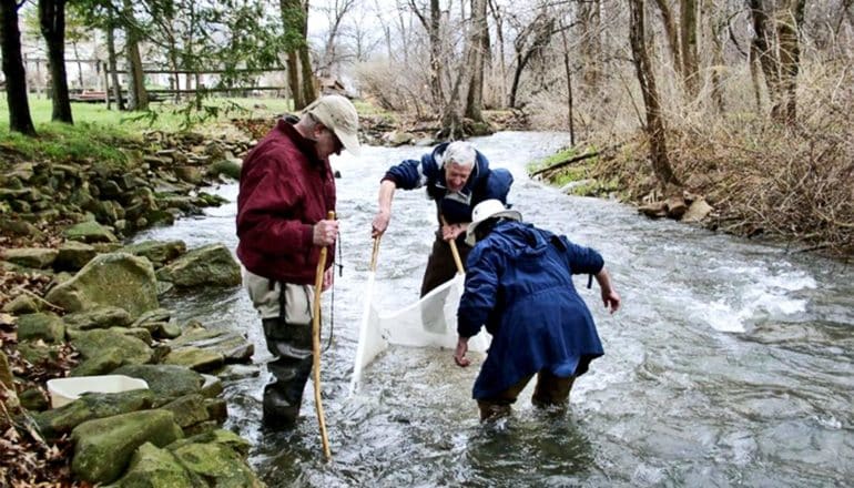 Three citizen scientists stand in a stream that winds into the background. They're holding a white net and all looking down.