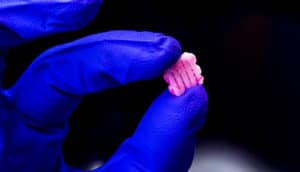 gloved fingers hold small pink scaffold