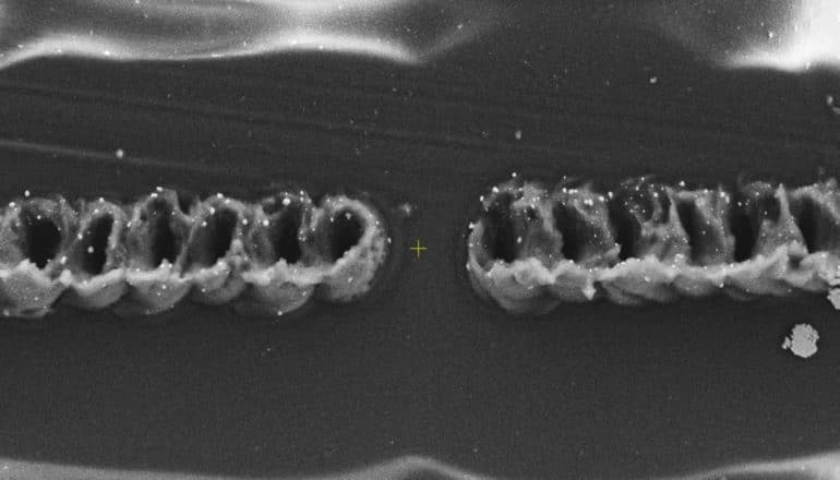 two rows of connected holes dug into surface