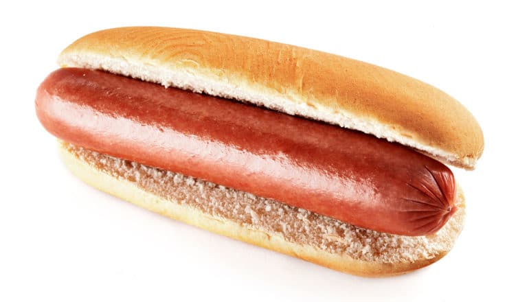 plain hot dog on bun