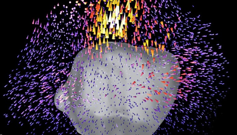 The cell cluster is a gray blob with purple and orange cones representing the forces they exert