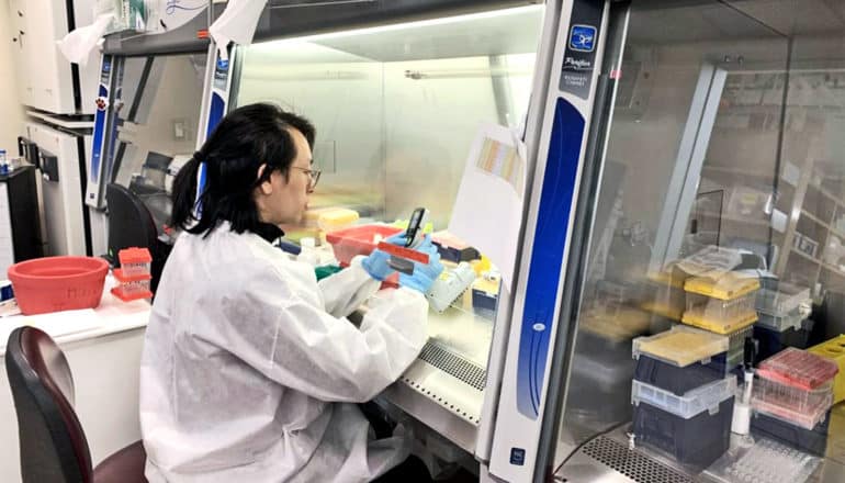 A researcher works under a glass-protected hood while wearing a white coat