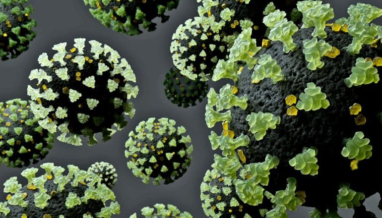 spiky round virus particles