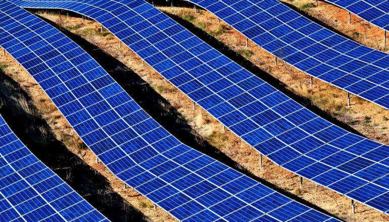 Rows of blue solar panels sit on brown grass