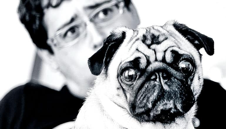 A man sits behind his dog looking worried, with his pug making a similar expression