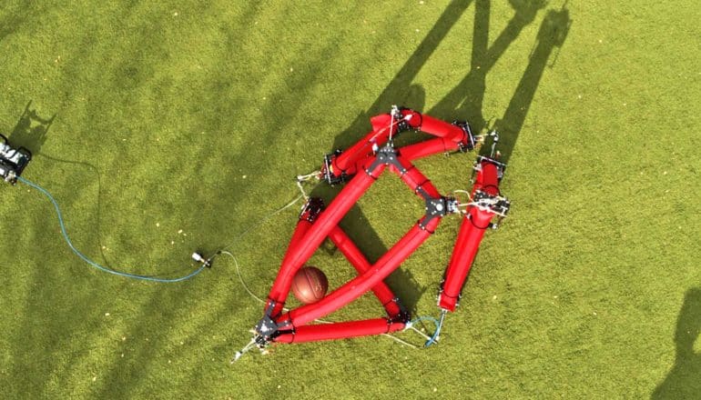 tubular robot with ball from above on grass