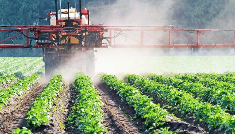 A tractor sprays a field with weed killer