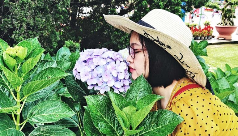 A woman in a wide-brimmed hat and yellow dress smells a purple flower on a bright green plant