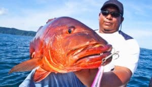 person holds big red fish with hook dangling from its lip