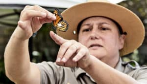 a park ranger holds up a monarch butterfly sample while talking to a group