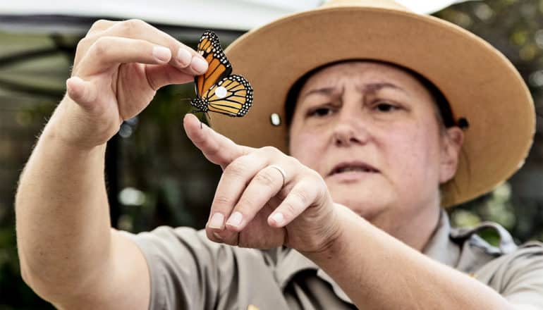 a park ranger holds up a monarch butterfly sample while talking to a group