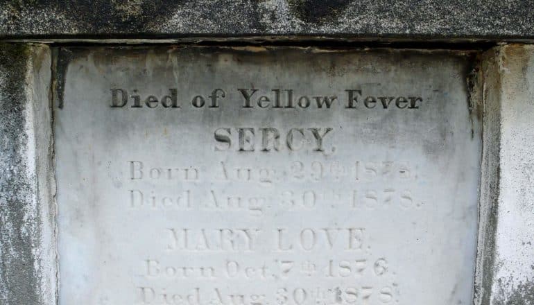 grave says "died of Yellow Fever" Sercy Born Aug. 29 18?8 Died Aug. 30 1878. Mary Love Born Oct 7 1876 Died Aug 30th, 1878