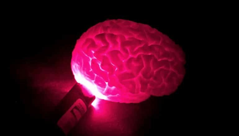 A flashlight makes a plastic brain glow pink against a black background
