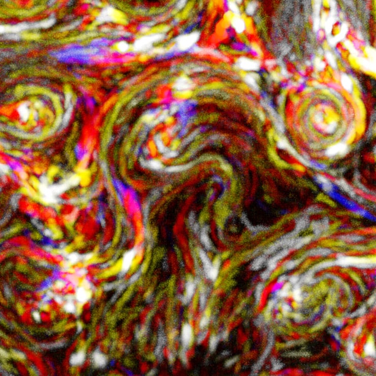 Swirls of different colors represent the cellular muscles