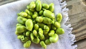 pile of green beans on white cloth on wood surface