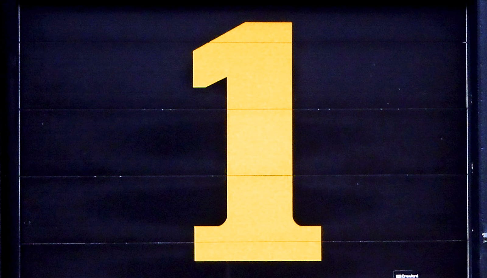 Syphilis alters just 1 gene to evade immune attack Futurity