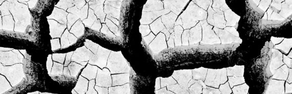A black and white shot of dried out earth, cracking in the heat