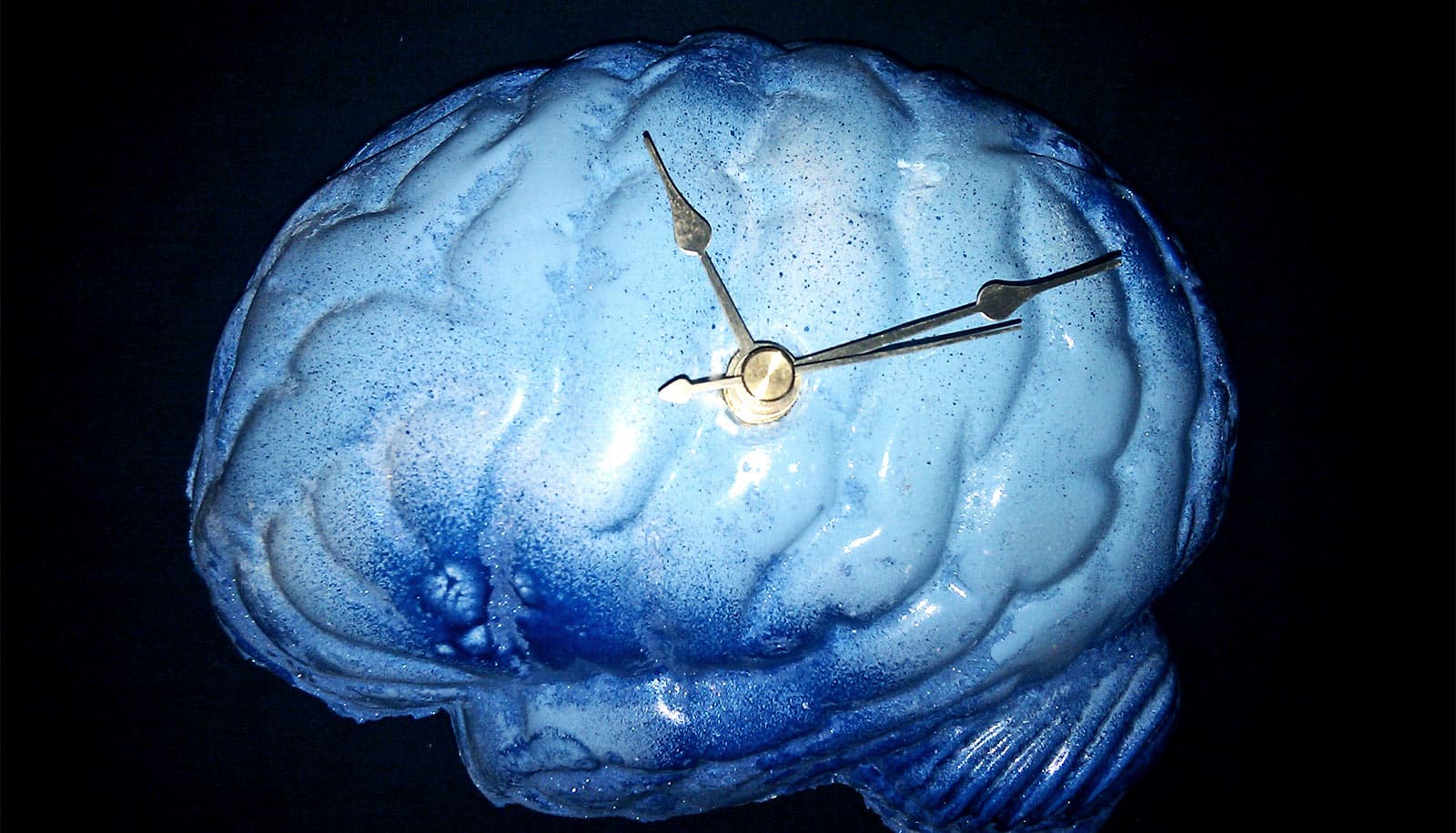 Часы brain. Синий мозг. Мозг и часы. Мозг синий цвет. Мозг часы ДНД.