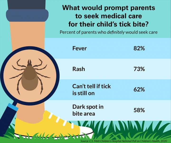 What would prompt parents to seek medical care for their child's tick bite? Fever 82%; rash 72%; can't tell if tick is still on 62%; dark spot in bite area 58%