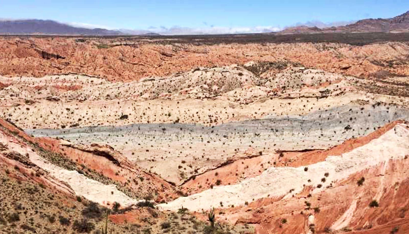climate 15 million years ago