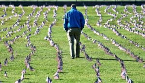 A man in a blue jacket walks through a field covered in small American flags