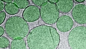 Green blobs float on a gray, speckled background