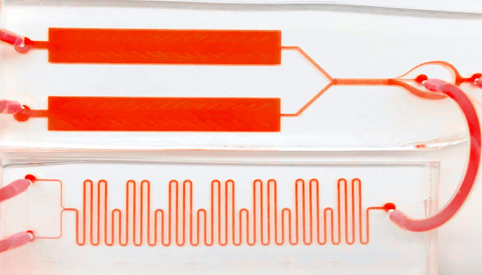 Chip ditches blood test snapshots for real-time checks