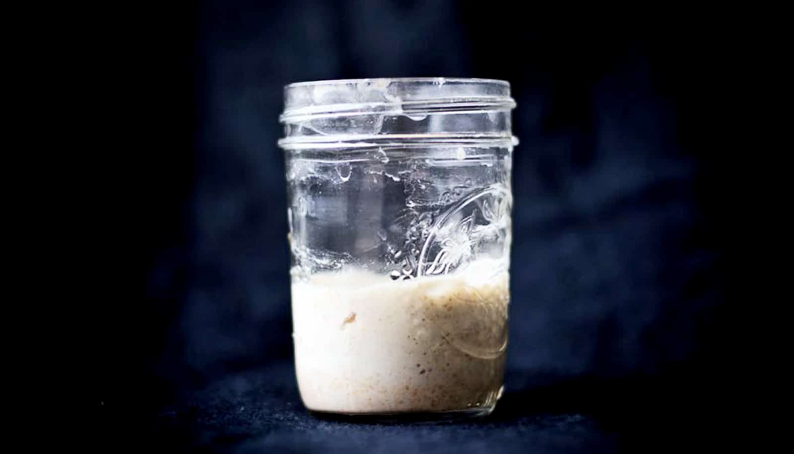 500 sourdough starters from 4 continents yield surprises - Futurity: Research News