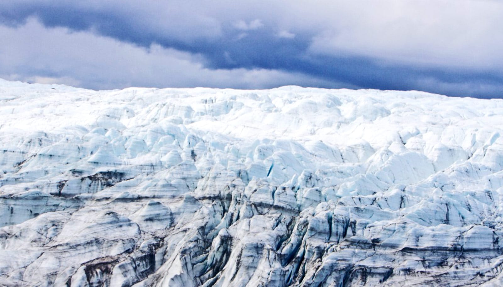 Team finds intact plant fossils under Greenland ice sheet