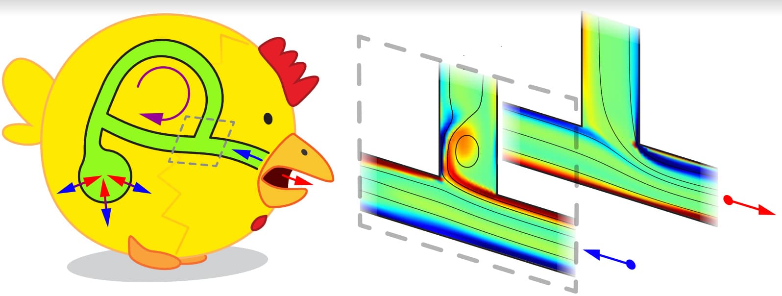 spherical cartoon chicken with looped airflow diagram overlay