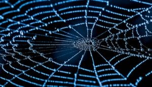 A spiderweb covered in dew drops
