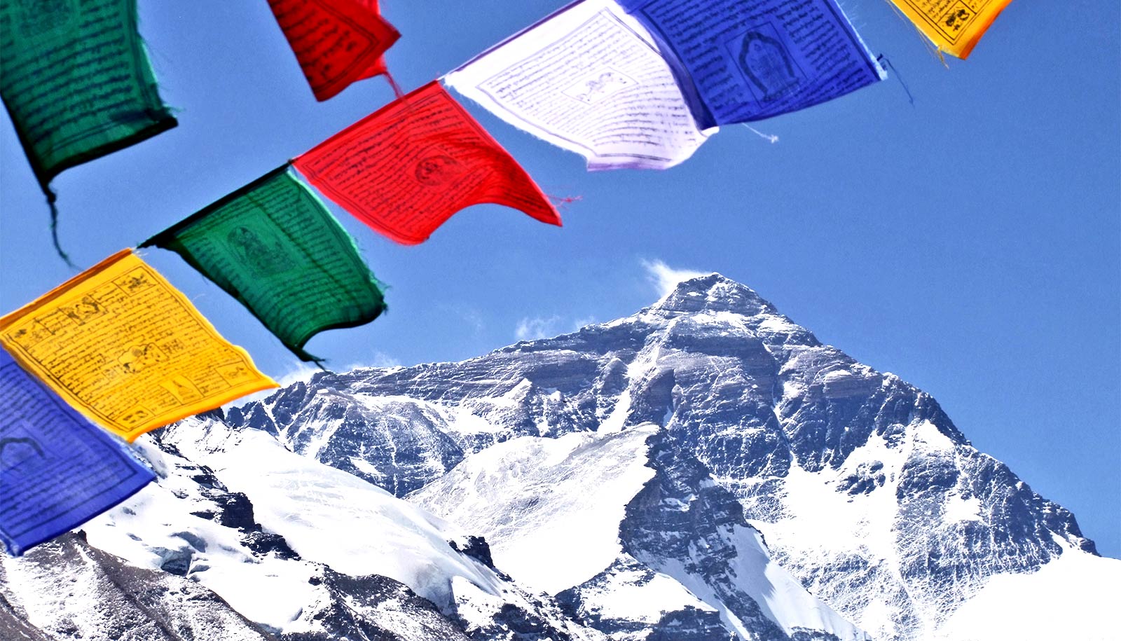 Tibet Archives - Futurity Tibet Archives - Futurity
