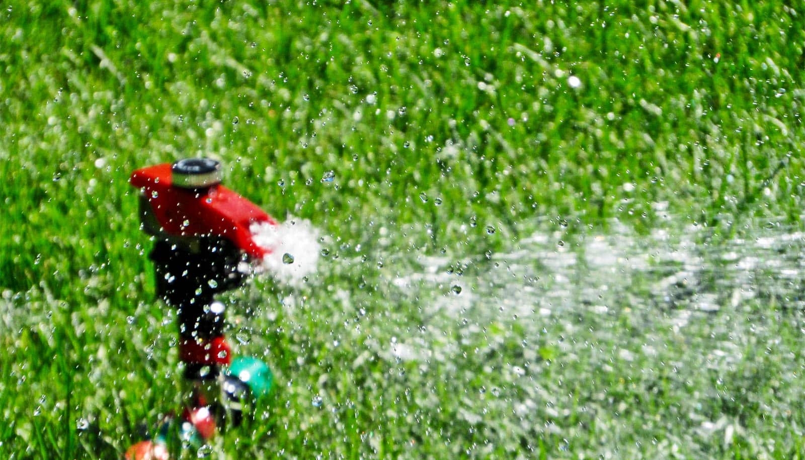 How neighbors can nudge you to skip the sprinkler - Futurity: Research News