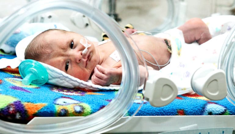 A premature baby in a bassinet in the NICU looks at the camera