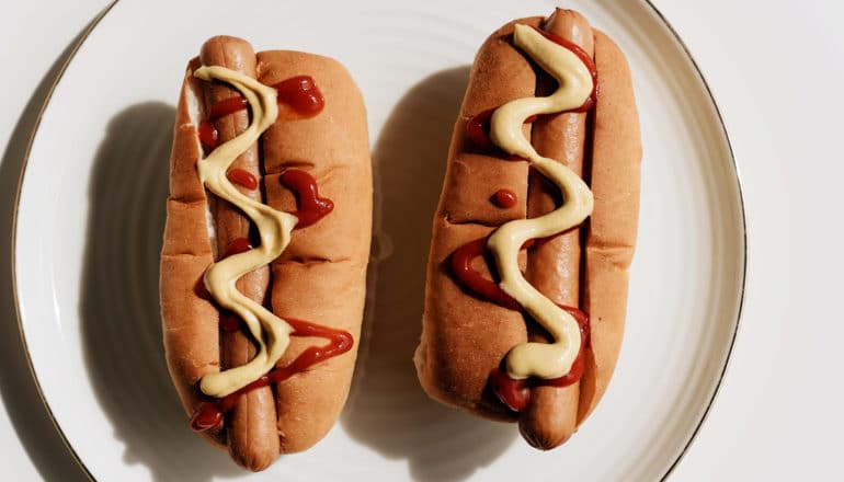 two hotdogs on plate