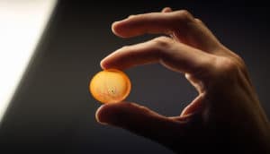 hand holds translucent disc between finger and thumb