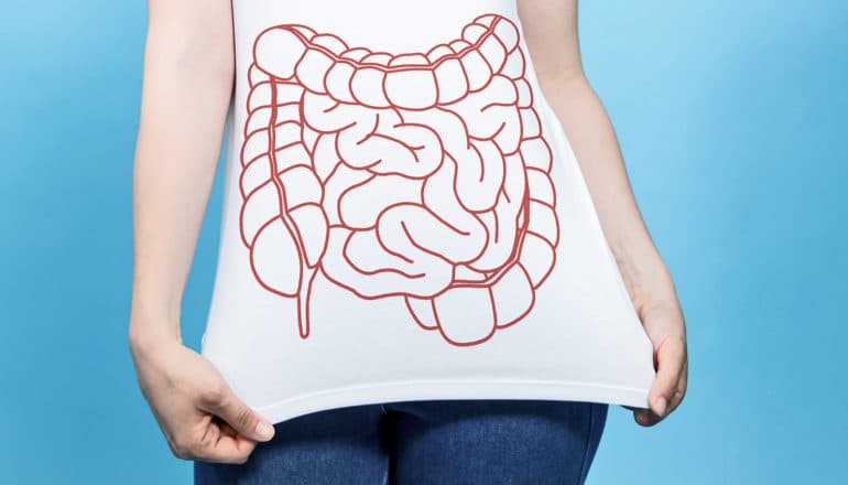 person holds out shirt with drawing of gut anatomy on it