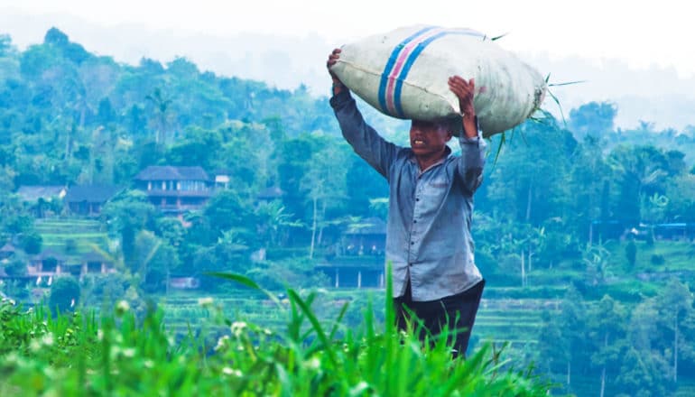 A worker carries a huge sack on his head up a steep hill with forested hills in the background