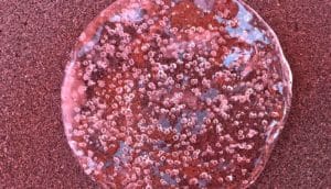 clear circular object containing bubbles