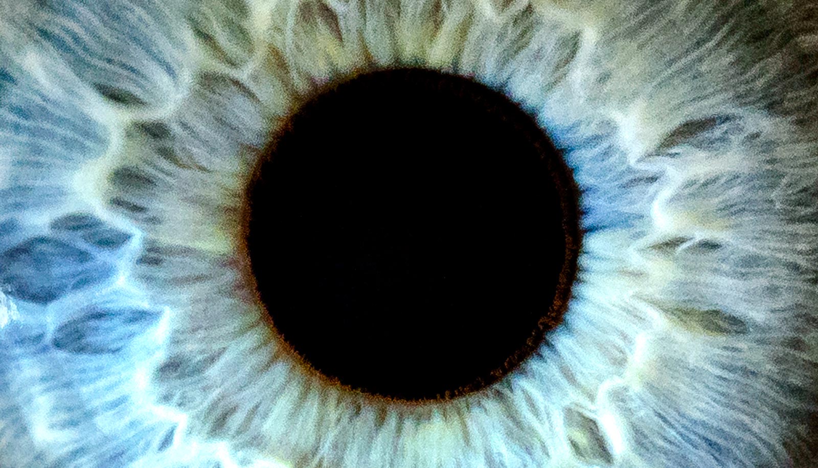 Extreme closeup of blue human eyeball showing the macula - Your Health